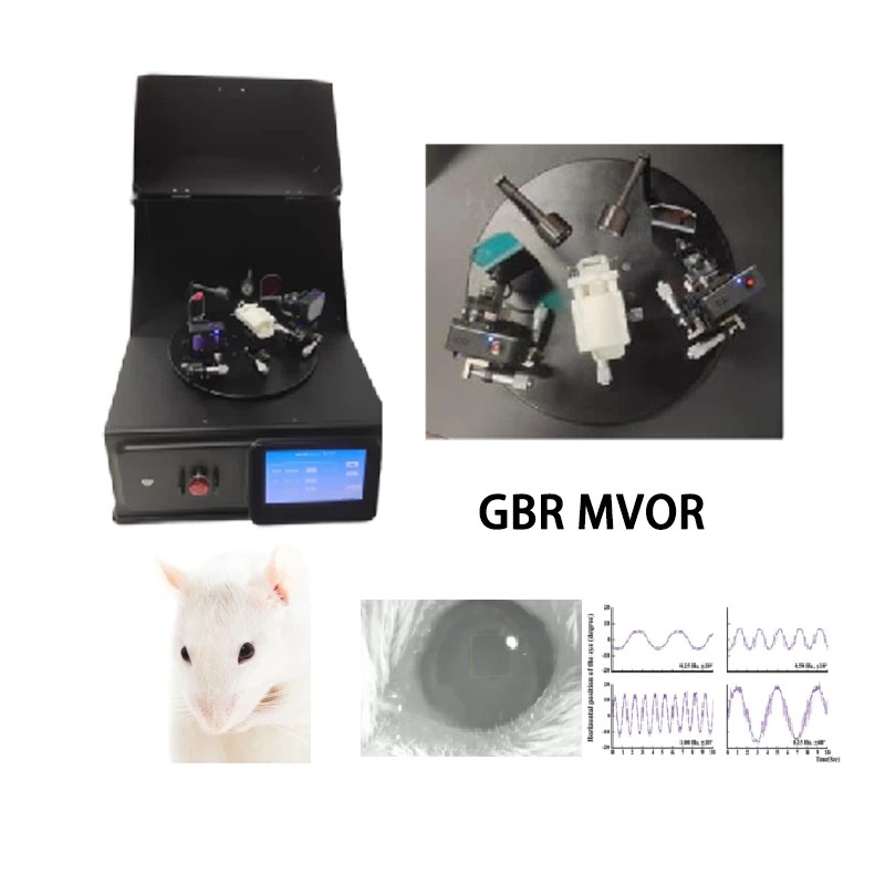 Mouse Vestibular Ocular Reflex Testing System